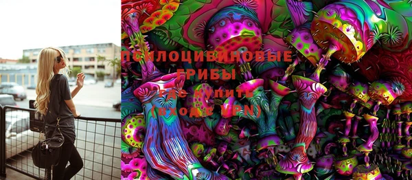 мет Алексин