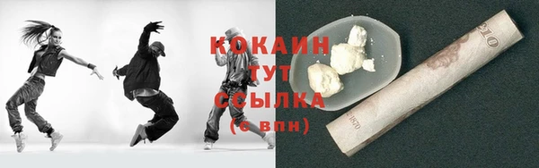 ECSTASY Алзамай