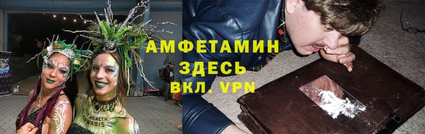 мет Алексин