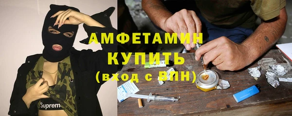 ECSTASY Алзамай