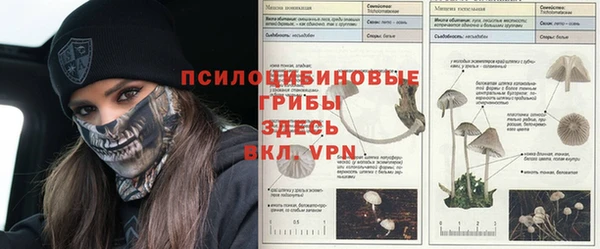 мет Алексин
